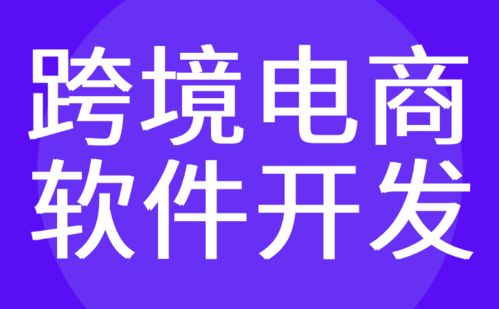 广州跨境电商软件开发 商城 购物 交易 红匣子科技
